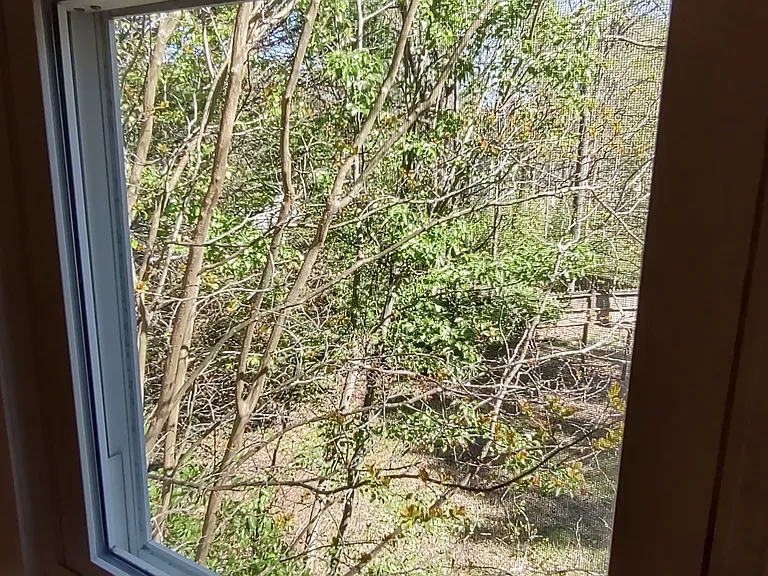 This photo has not been altered in any way: no edits or filters have been applied to try to deceive the viewer by having the room appear larger or brighter than it actually is.