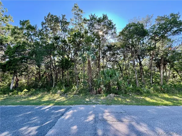 6288 S Westview Dr, Homosassa, FL 34448