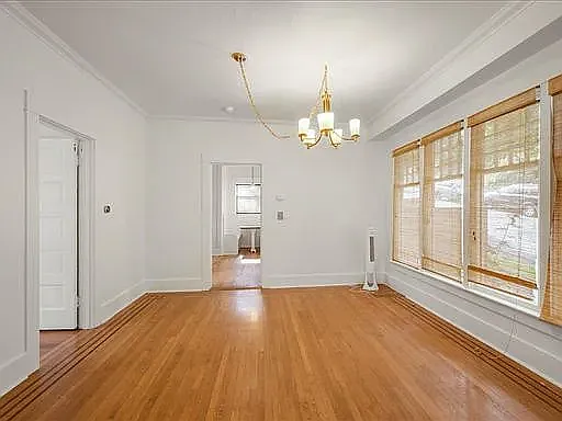 153 Florentia St — Photo 5