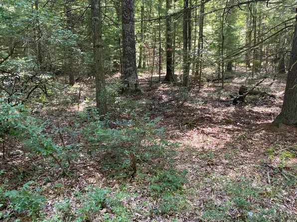 LOT 35 Cricket Hill Rd, Hawley, PA 18428