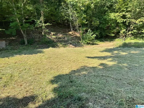 15 Sunset Point #5, Oneonta, AL 35121