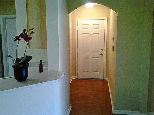 3rd image of 6518 Swissco Dr APT 1236