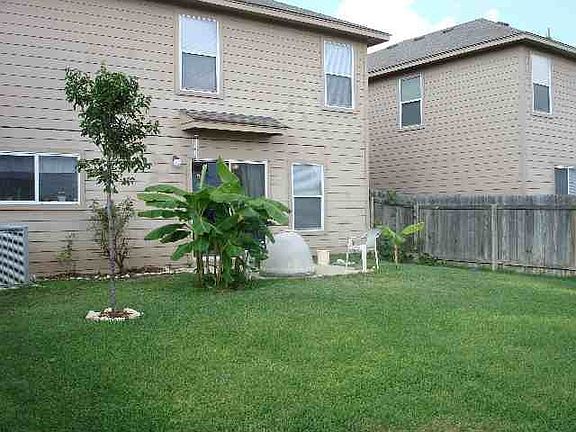 Back yard