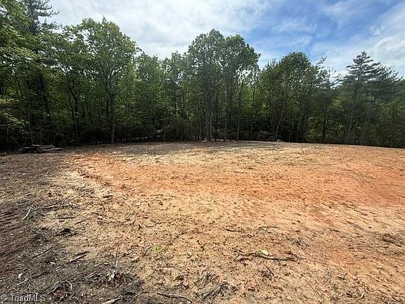 2nd image of 0 Chestnut Mountain Farms Pkwy Lot 54