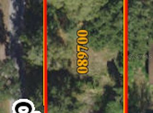 3810 Wilder Loop, Plant City, FL 33565