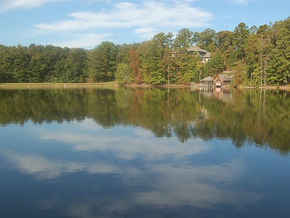 view from backyard