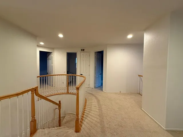 11674 Candy Rose Way — Photo 30
