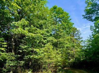 0 Bluff Mtn, Dillard, GA 30537