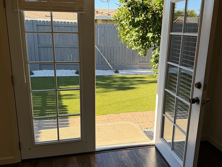 view from dining room