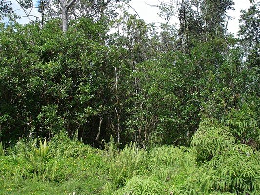 2nd image of Pohaku Cir