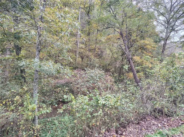 0 Patterson Dr, Elkview, WV 25071