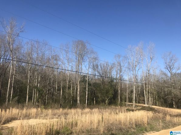 0 County Road 340 LOT 23, Maplesville, AL 36750