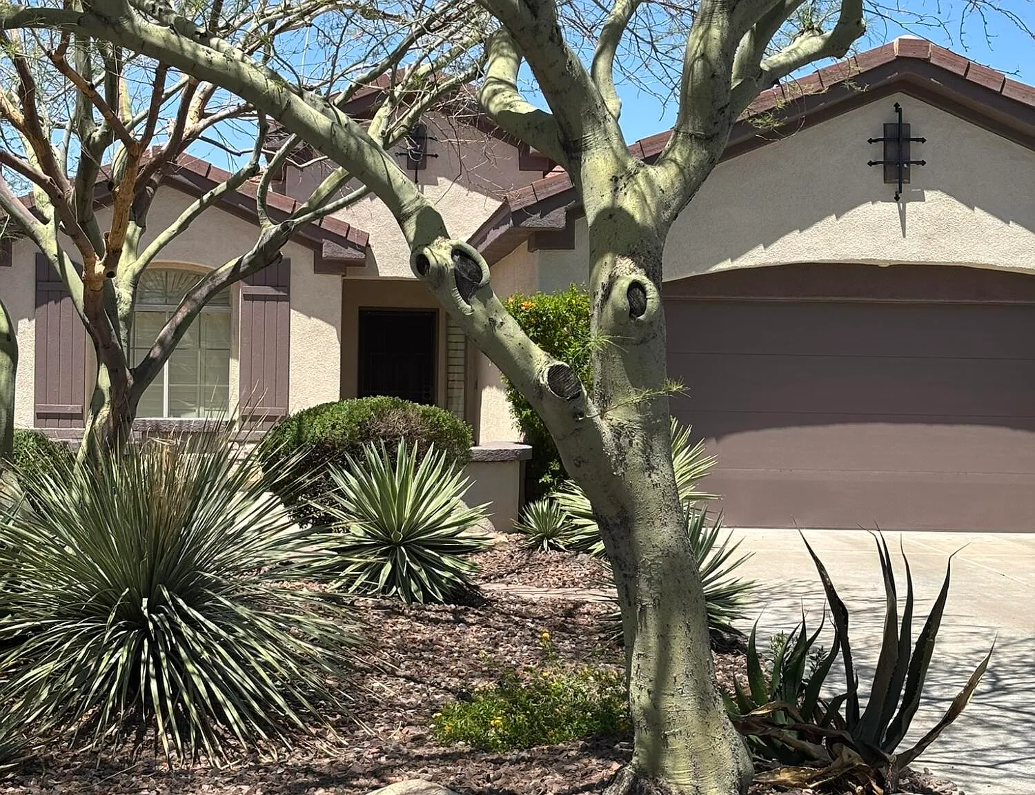 2 bed, 2.0 bath, 1728 sqft, $3,850 — Photo 3