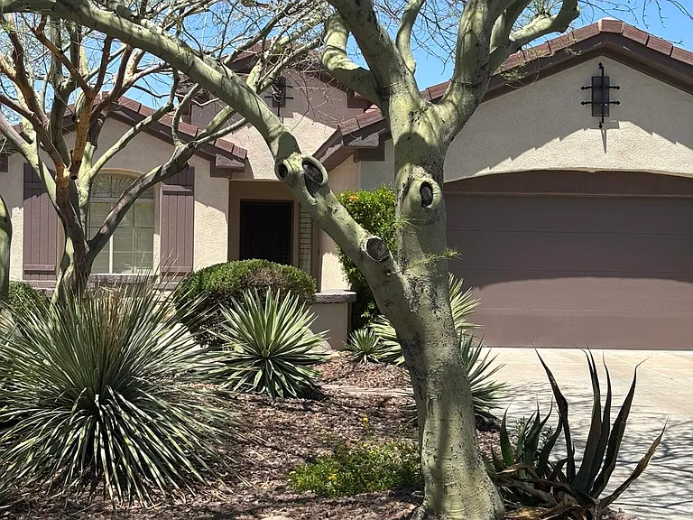 41520 N River Bend Ct — Photo 3