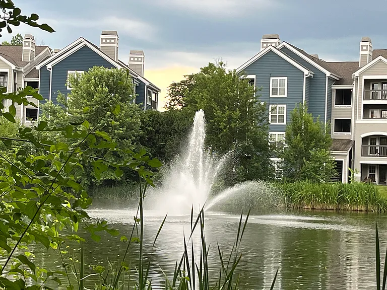 14302 Rosy Ln #1 — Photo 3