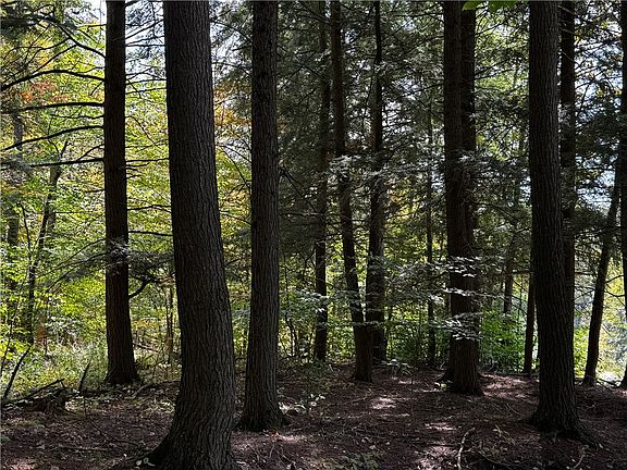 3rd image of LOT 11 Sisson Hill Rd Lot 11