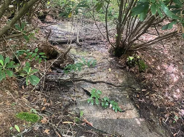 8 Wandering Rdg, Glenville, NC 28736