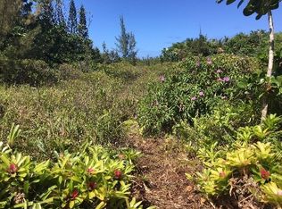 Kukane Rd LOT 290, Keaau, HI 96749