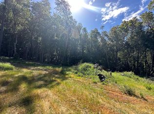 0 Little Dan Creek Road, Leggett, CA 95585