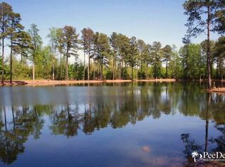 3646 Laurin Willis Rd, Clio, SC 29525