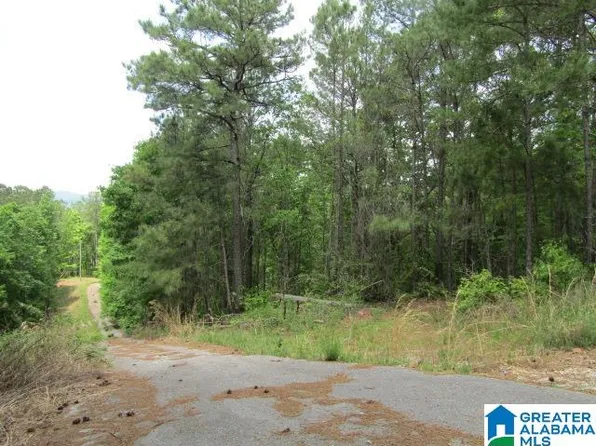 8314 State Highway 78 #1, Anniston, AL 36207