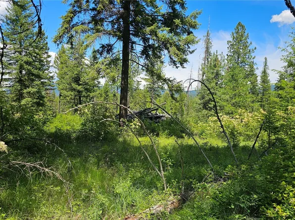 432 X Bussard Lake Road, Loon Lake, WA 99148