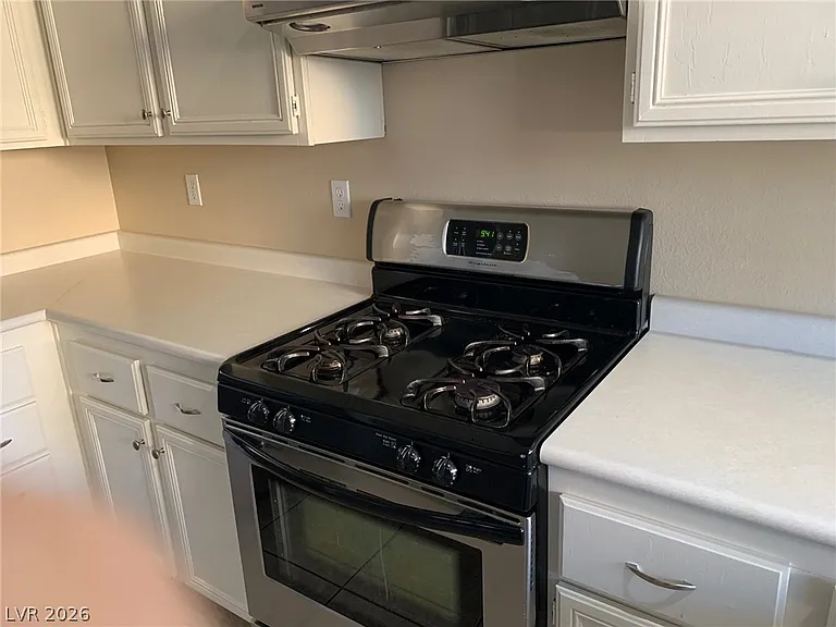 3346 Lark Bunting St — Photo 11