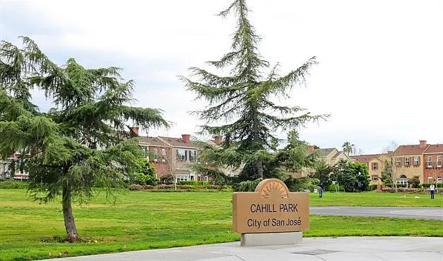 219 Cahill Park Dr — Photo 8