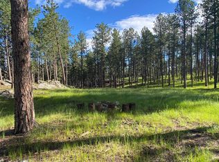 25362 Castle Rock Trl, Custer, SD 57730