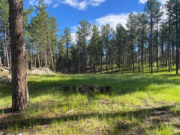 25362 Castle Rock Trl, Custer, SD 57730