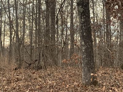 0 Rocky Point Rd, Tennessee Ridge, TN, 37178