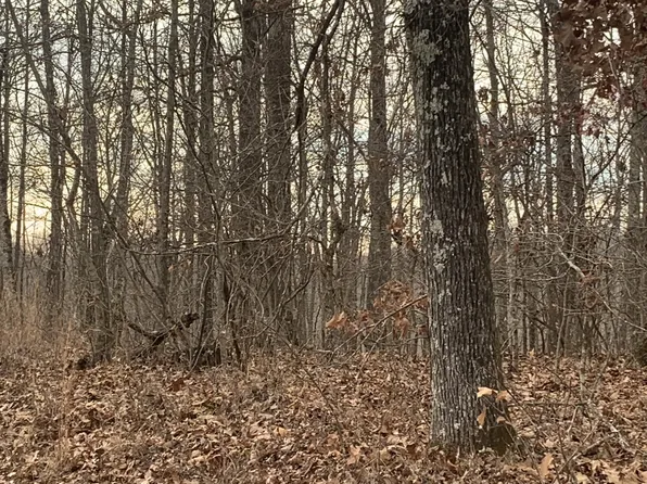 0 Rocky Point Rd, Tennessee Ridge, TN 37178