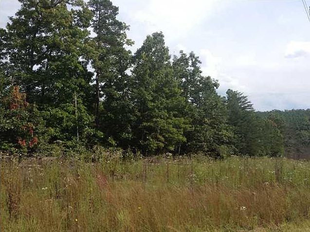 1st image of 10360 S Pittsburg Mountain Rd #3