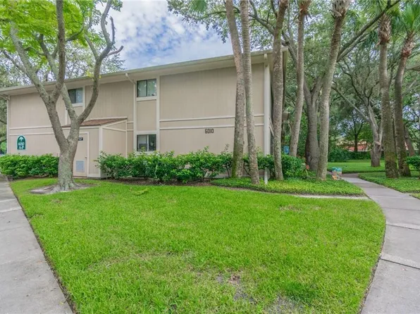 6010 Laketree Ln, Temple Terrace, FL