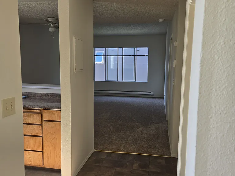 5240 15th Ave NE #401 — Photo 1