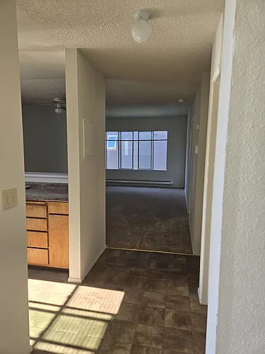 5240 15th Ave NE #401 Photo 1