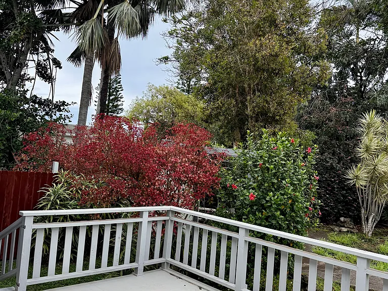 51 Alapio Pl — Photo 7