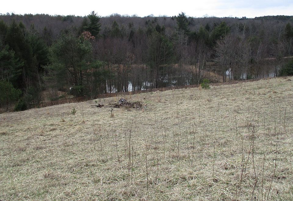 0 Millcreek Rd, Strattanville, PA 16258 Zillow