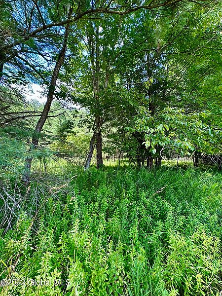 4th image of L11 Mountain Pond View Road