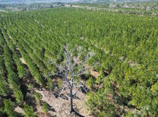 LOT 2 Robinsonville Rd, Atmore, AL 36502