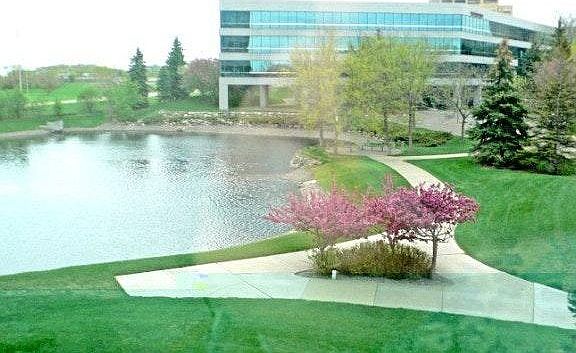 Pond View