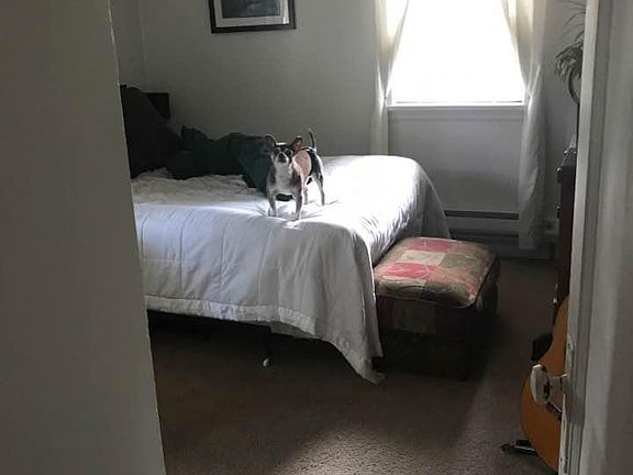 Second bedroom in the back of the house