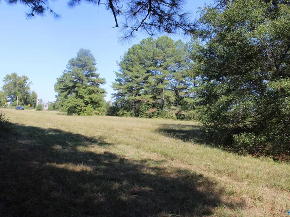LOT 1 Mooresville Rd, Elkmont, AL 35620