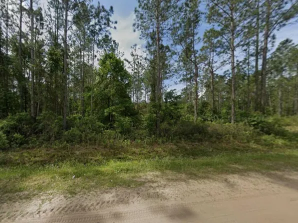 10720 Beckenger Avenue, Hastings, FL 32145