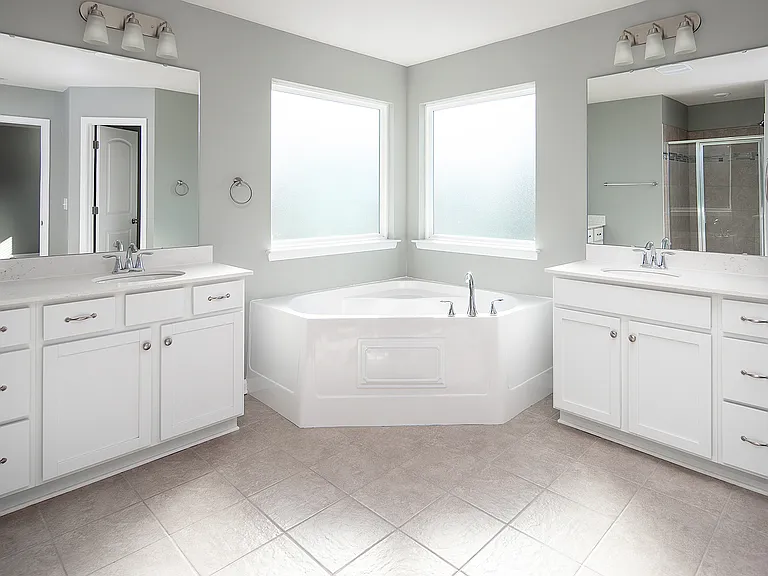 Master/primary bath (3)