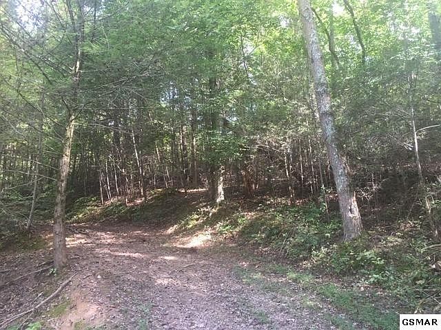 2nd image of 1 Waldens Creek Rd
