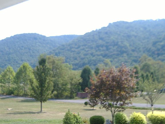 Nice flat building sites on the property