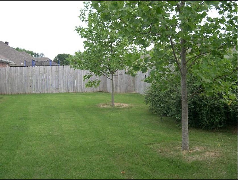 2nd image of 2970 Mueller St