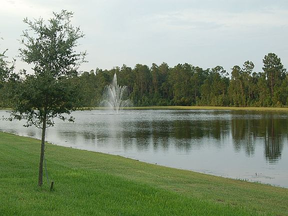Waterfront/Conservation View w/ Fountain