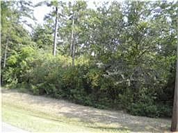 4th image of 22419 Meadowsweet Dr